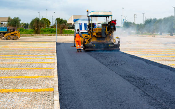 Best Residential Paver Driveway  in Hidalgo, TX