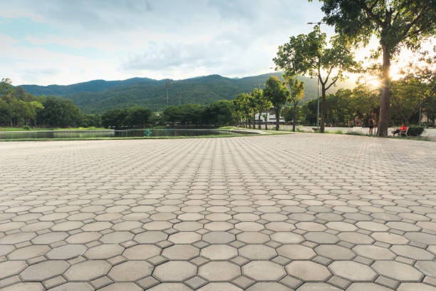 Best Best Driveway Pavers  in Hidalgo, TX