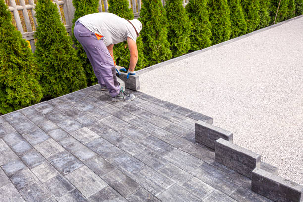 Best Driveway Paver Repair  in Hidalgo, TX