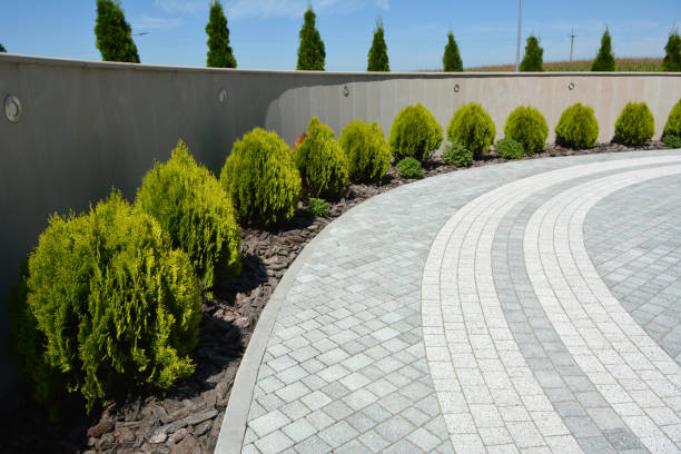 Best Custom Driveway Pavers  in Hidalgo, TX